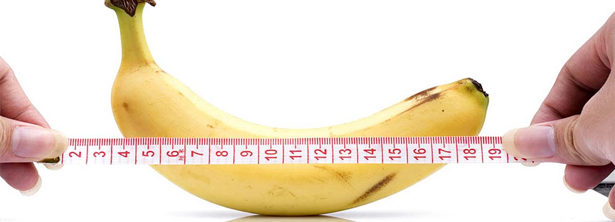 veličina penisa slika